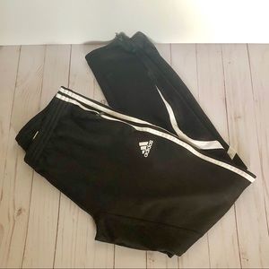 Adidas Training Pant